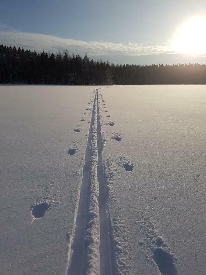 Loma-Paelsilae Lakeside Villa Kuhmoinen エクステリア 写真